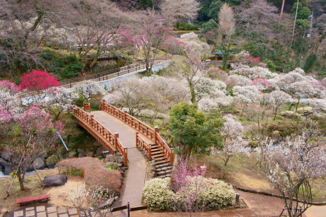 熱海梅園